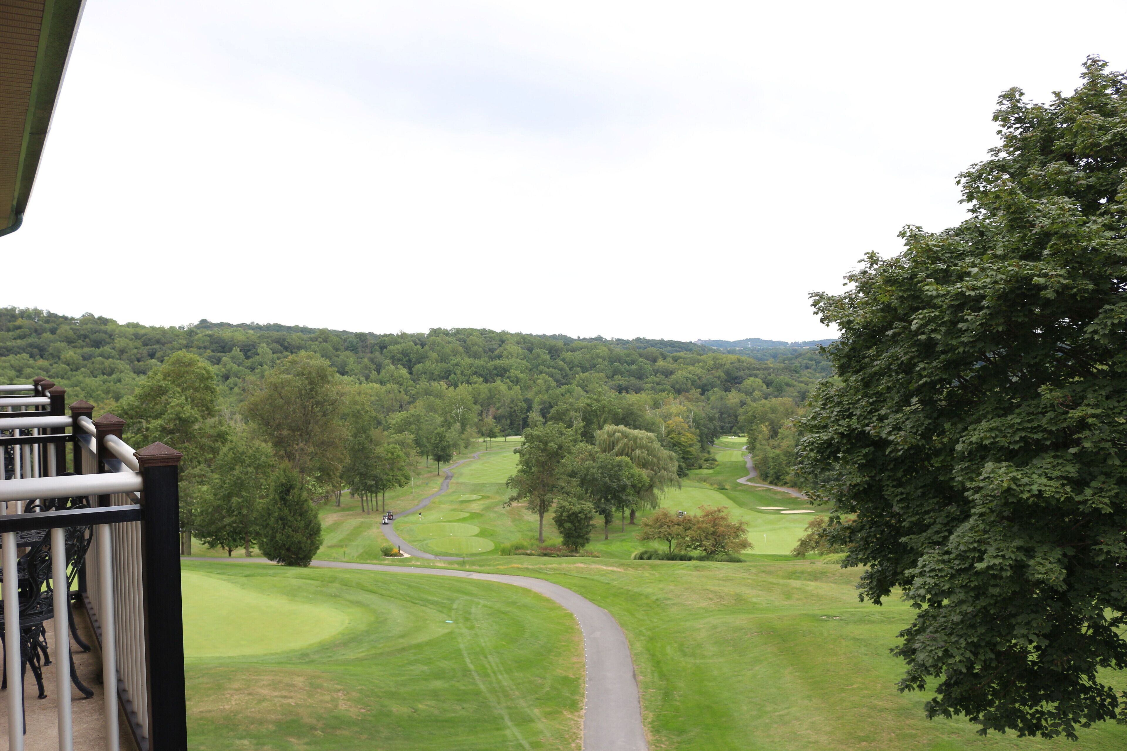 A view of a golf course with a winding path, surrounded by lush greenery and trees.