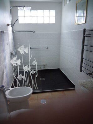 Dusche, Haartrockner, Bidet, Handtücher