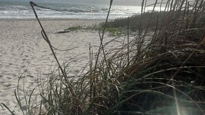 A beach with waves, grass, and a clear sky.