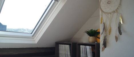 A room with a skylight, bookshelves, a dreamcatcher, and a bed.