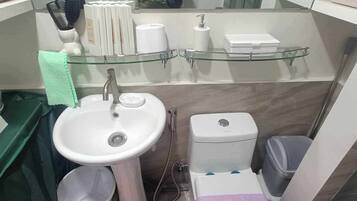 Shower, hair dryer, bidet, towels