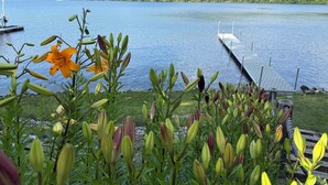 Un lago con un muelle, rodeado de vegetación y colinas.