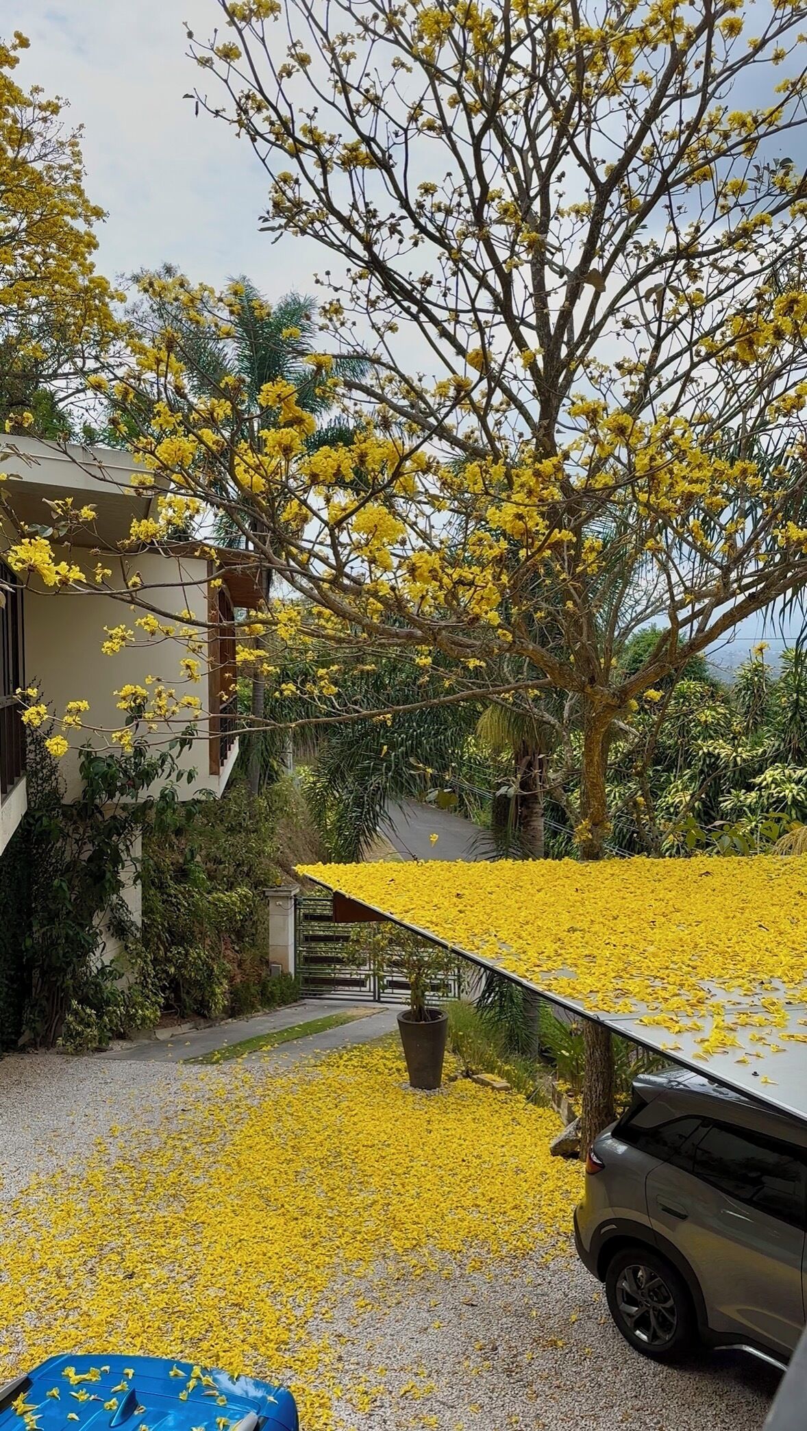 Áreas de la propiedad