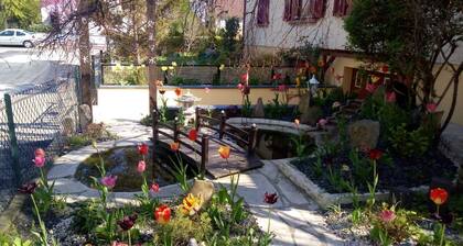 Basement apartment close to the center of Colmar, with private garden.
