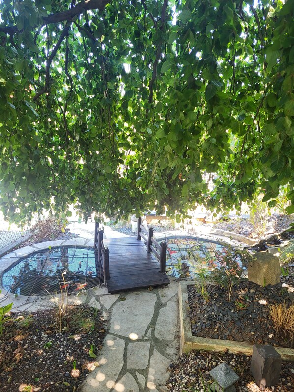 Property grounds - Basement apartment close to the center of Colmar, with private garden. (Colmar)