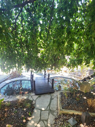 Basement apartment close to the center of Colmar, with private garden.