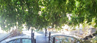 Basement apartment close to the center of Colmar, with private garden.