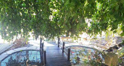 Basement apartment close to the center of Colmar, with private garden.