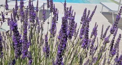 Manor in Marche With Pool & Adriatic Views