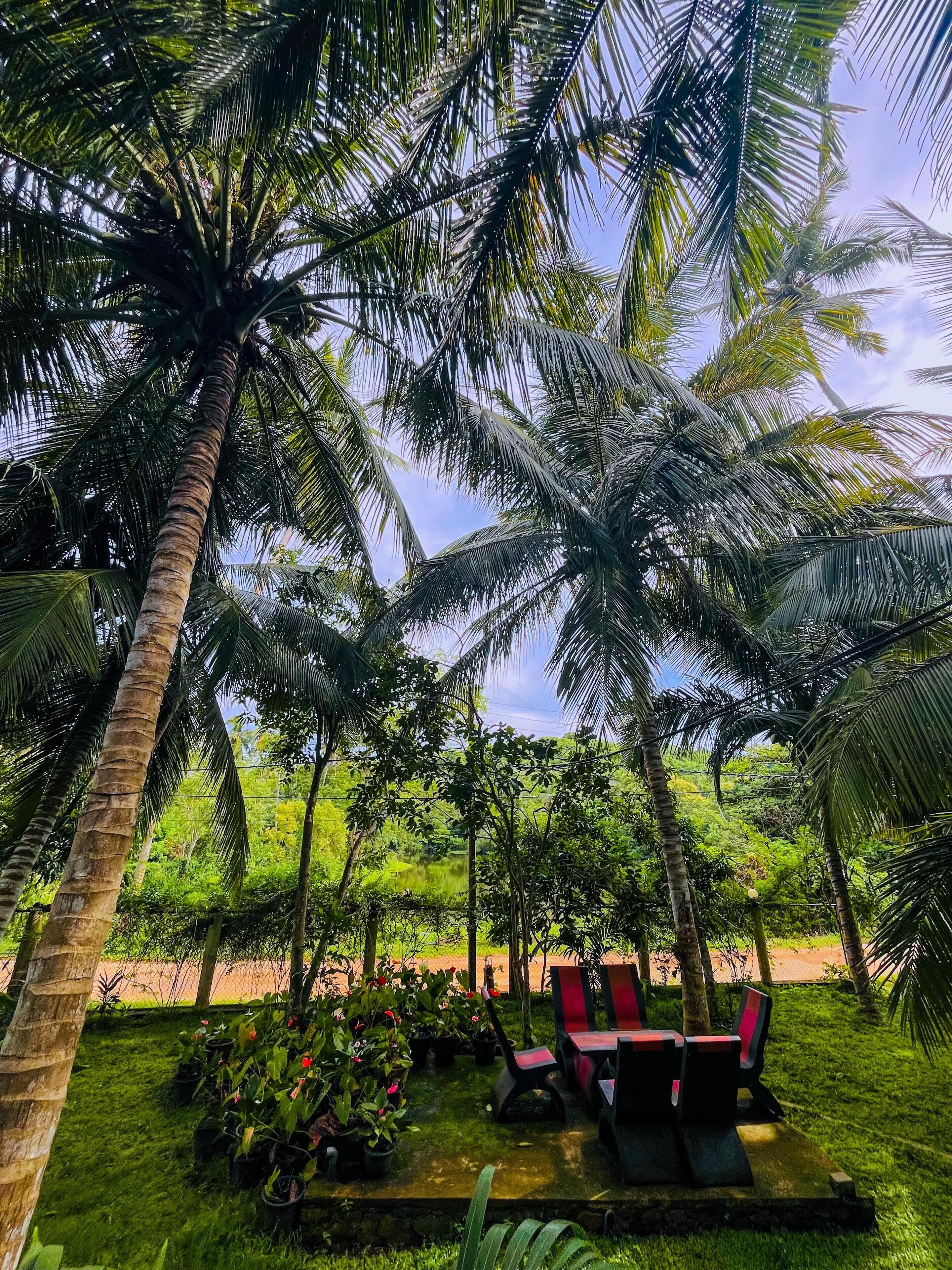 Terrein van de accommodatie