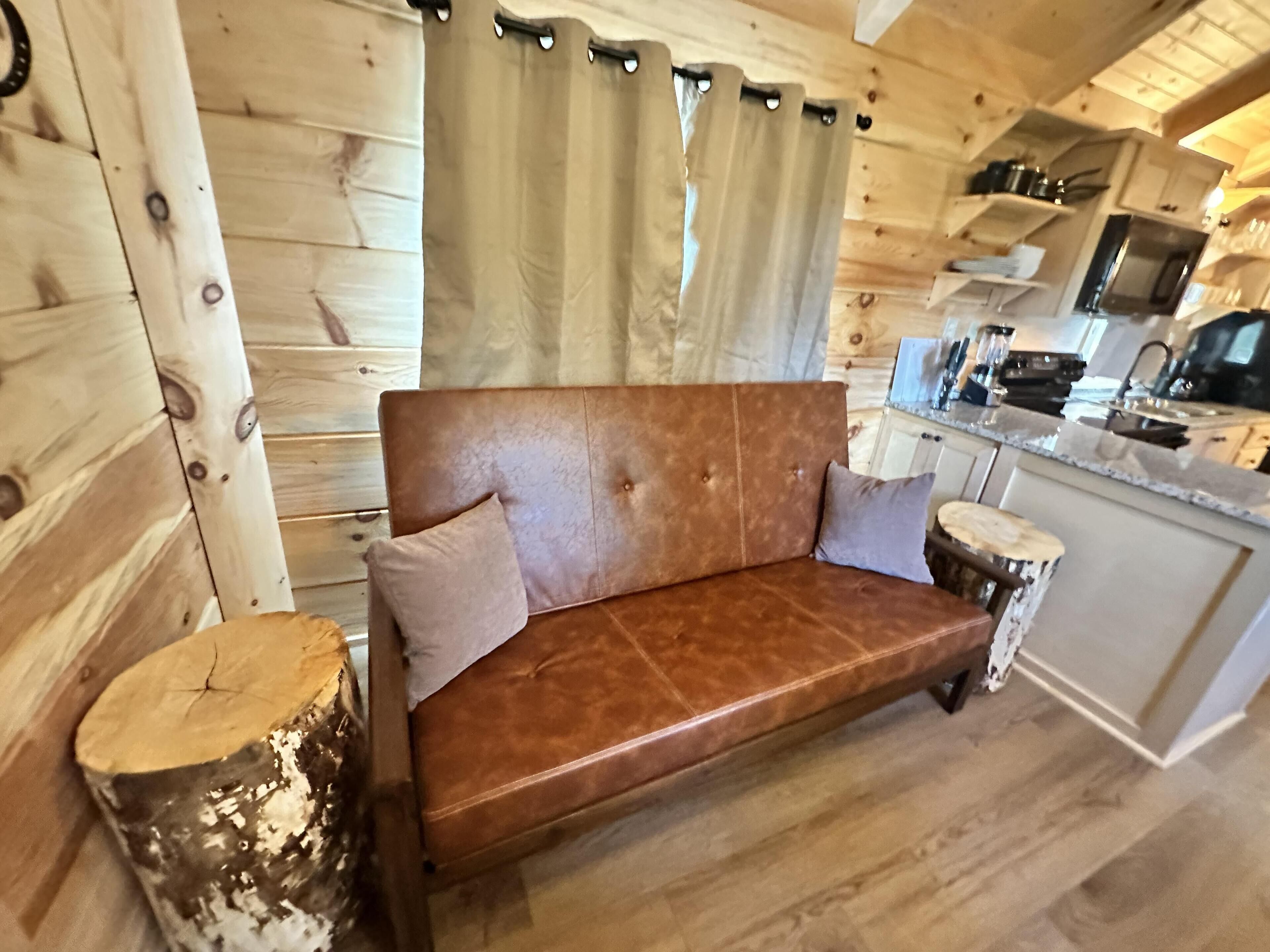 Televisión, chimenea y reproductor de DVD 