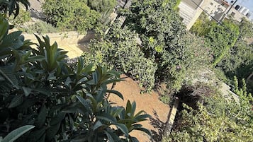 Standard Double Room, Garden View | View from room