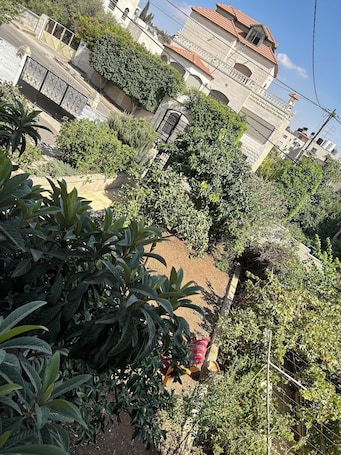 Standard Double Room, Garden View | View from room