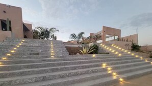 A set of stone steps leading up to a building with a modern design, surrounded by palm trees and other vegetation.