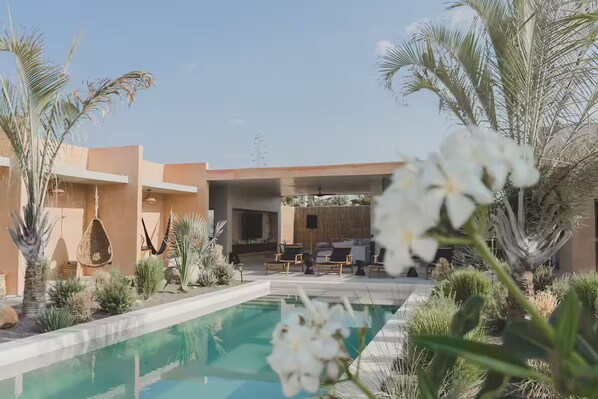 A pool area with lounge chairs and a hanging chair, surrounded by palm trees and desert plants.