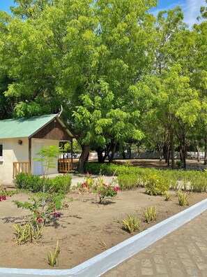 المنطقة المحيطة بال منشأة