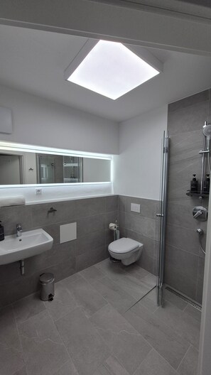 Douche, sèche-cheveux, serviettes fournies, papier toilette