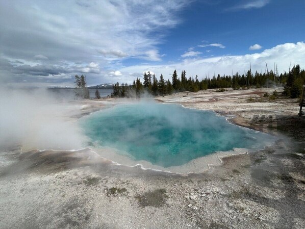A geothermal hot spring surrounded by forested terrain.
