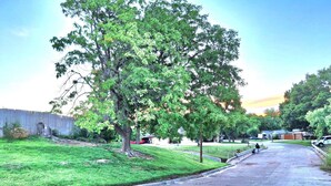 A residential street with a sidewalk, a large tree, and houses in the background. - Lawton Creekside Villa,7 bedrooms, 3 bathrooms,8 beds,beautiful  neighborhood  (Lawton)