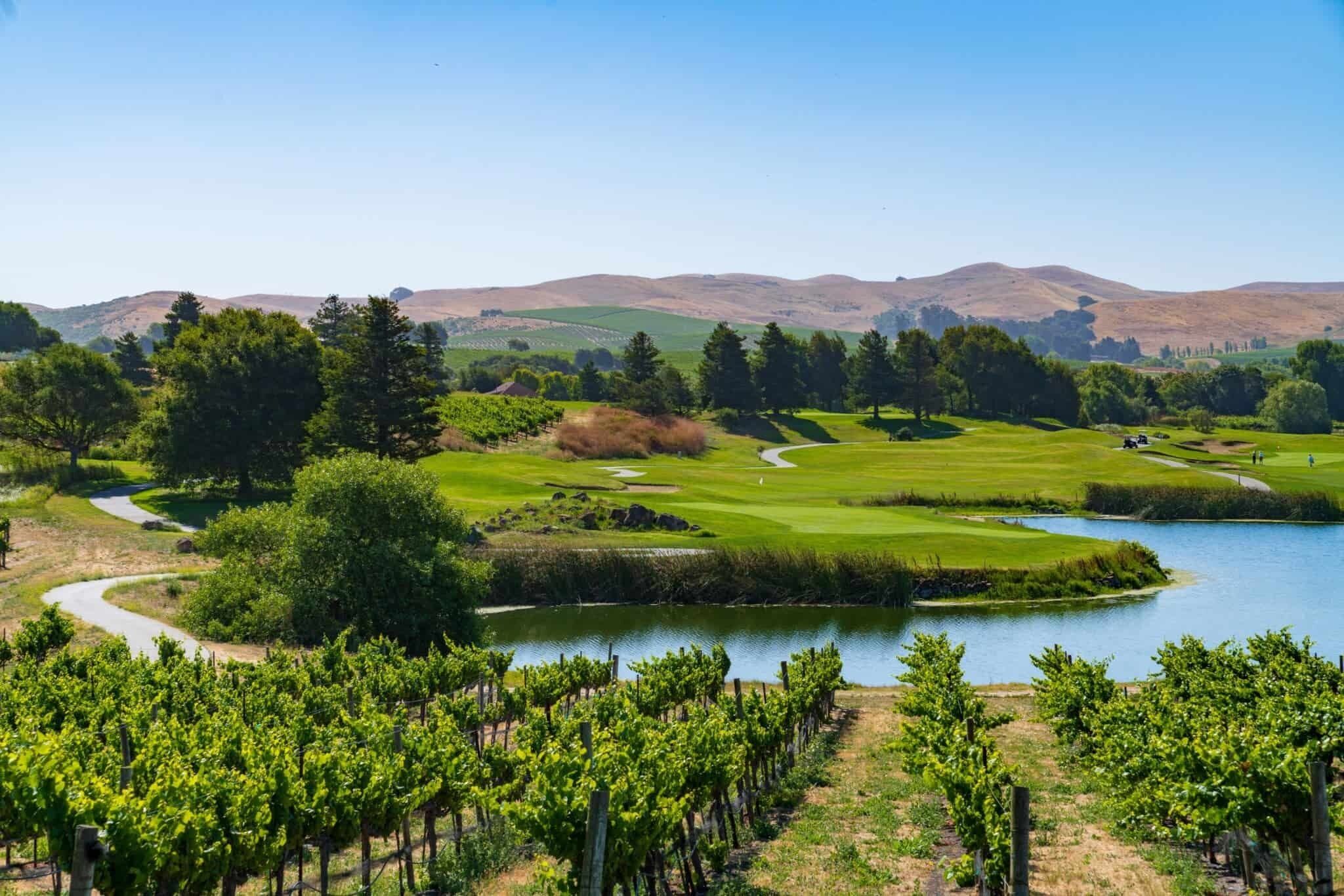 Un vignoble avec un terrain de golf et un lac en arrière-plan.