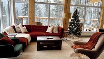 TV, fireplace, stereo