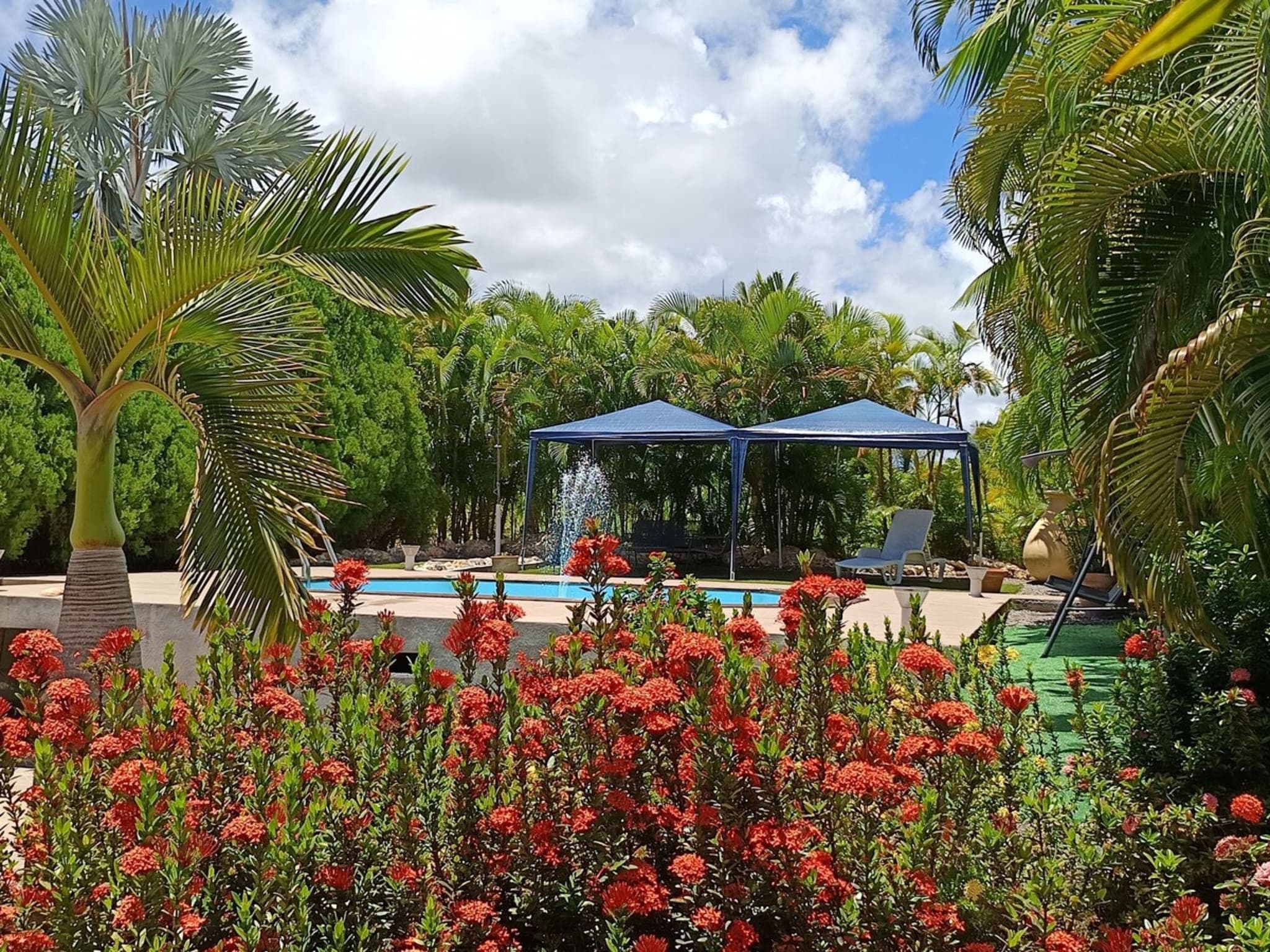 A pool area with a clear blue pool, surrounded by lush greenery and red flowering plants. There are two blue umbrellas providing shade.