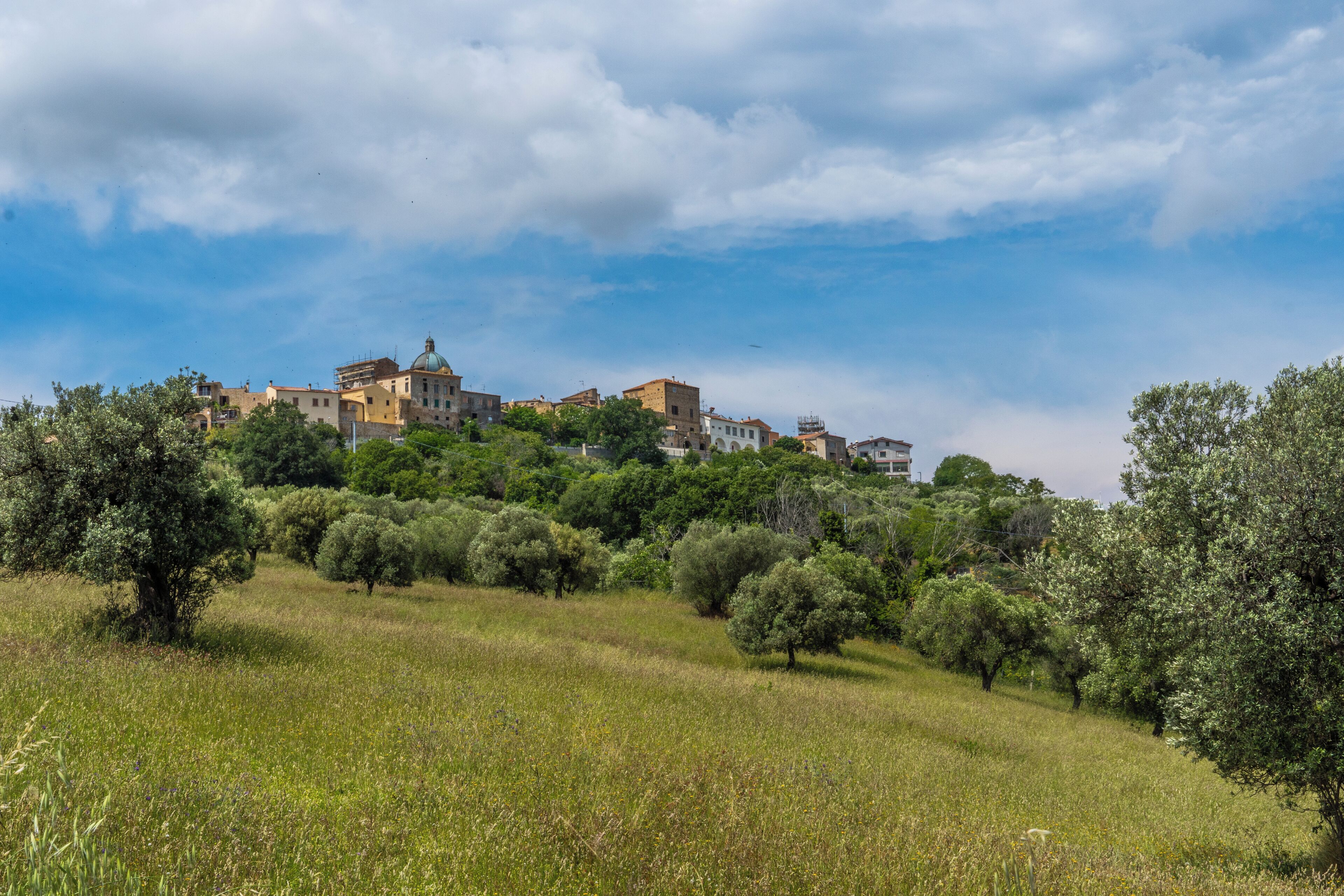 Un pueblo en una ladera con edificios y árboles.