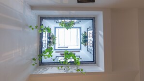 Vista desde una ventana a un cuarto con tragaluz, una planta colgante y un farol decorativo.