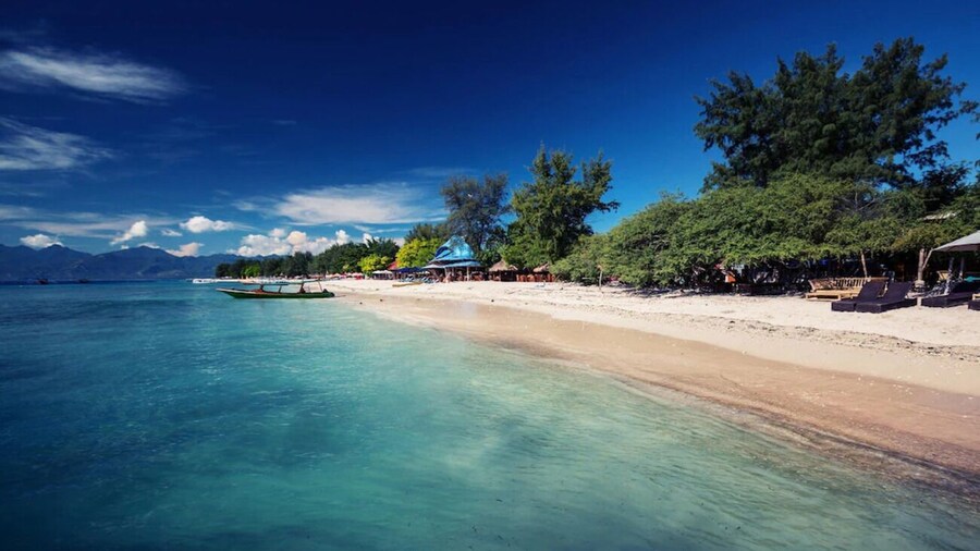 Gili White Bamboo by Secoms