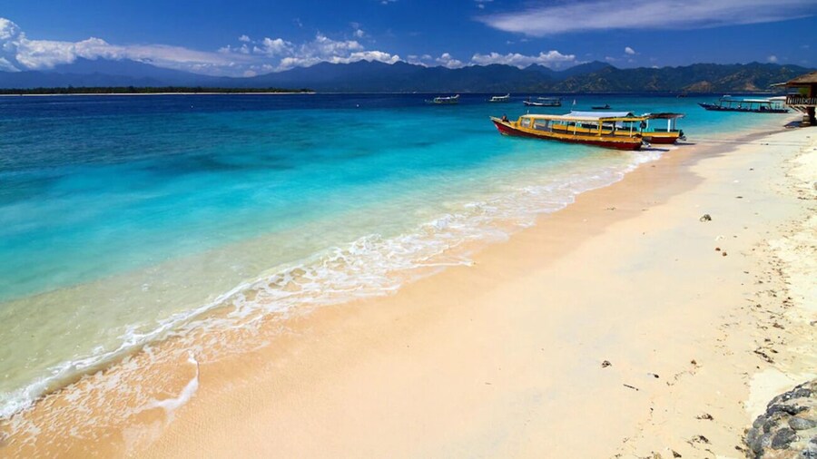 Gili White Bamboo by Secoms