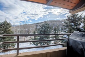 Property grounds - Bright & Airy Modern Cozy Condo in the Heart of Snowmass Village (Snowmass Village)