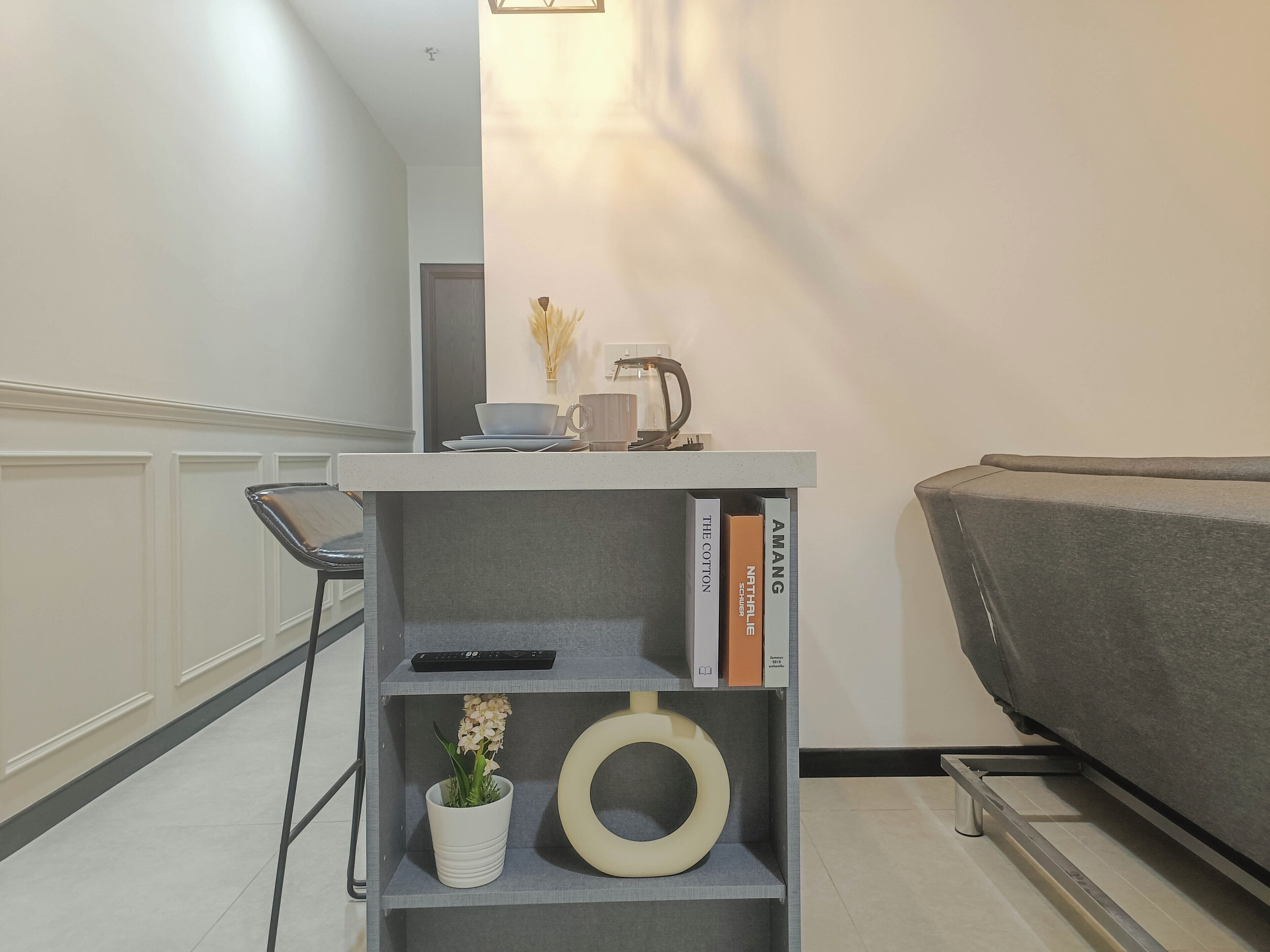 A modern living room with a grey sofa, a small side table with a remote control, a potted plant, and books on a shelf.