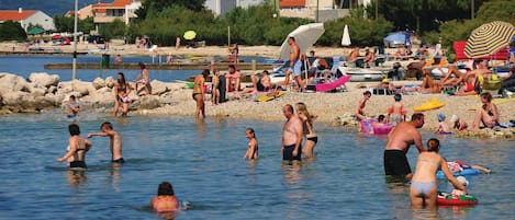 PĂȘche rĂ©crĂ©ative