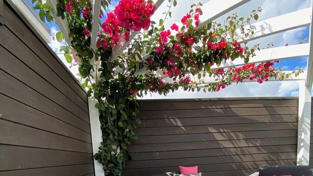 Un espace extérieur aménagé avec un coin salon, comprenant une pergola en bois, un canapé noir agrémenté de coussins à motifs floraux et une table basse blanche.