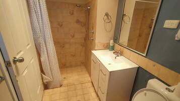 Hair dryer, towels, soap, toilet paper