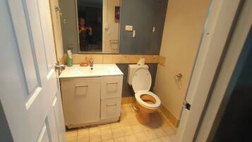 Hair dryer, towels, soap, toilet paper