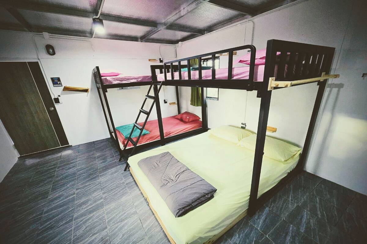 A bunk bed room with a ladder, a desk, and a chair.