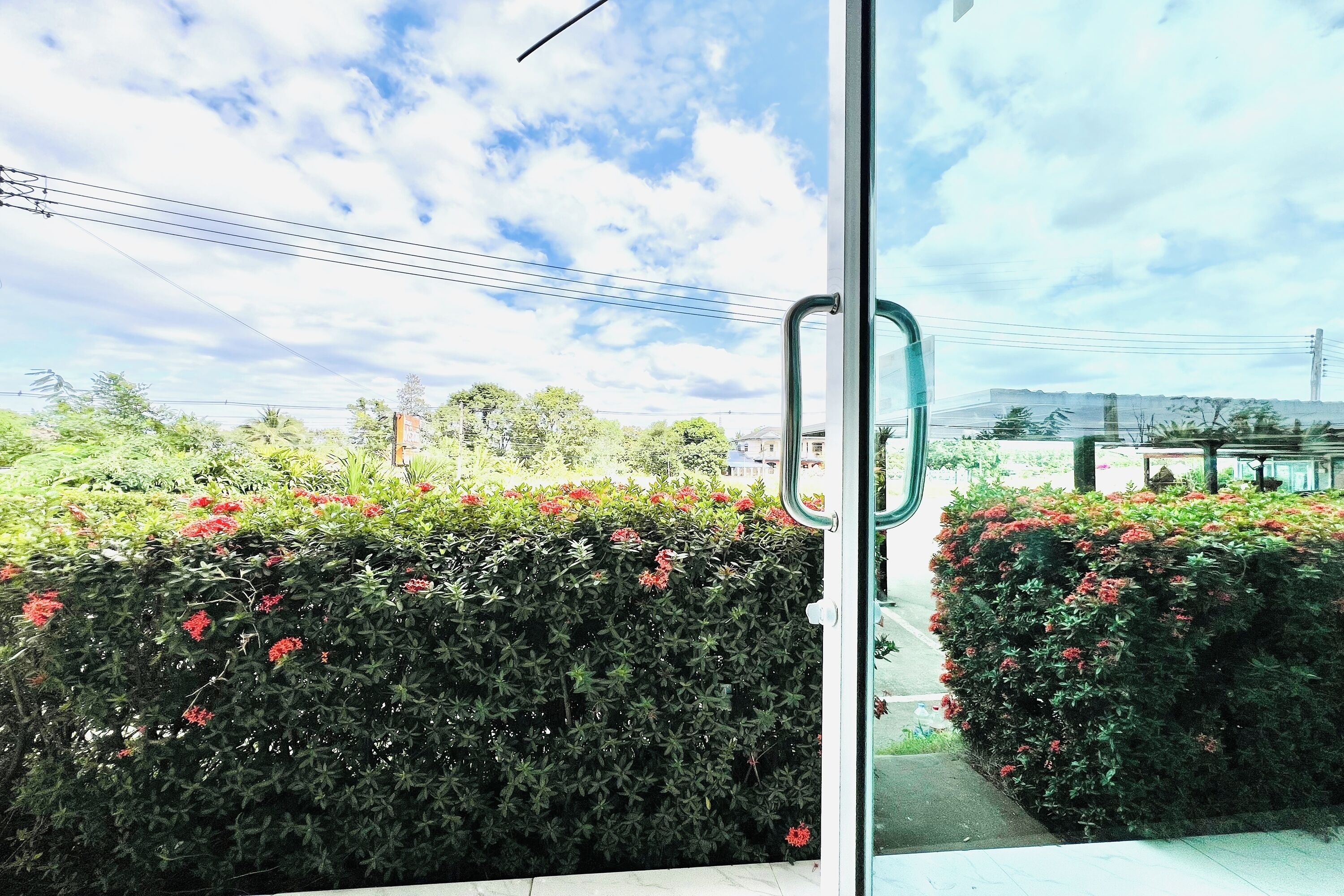Vista a través de una puerta de cristal que muestra un seto cuidado con flores rojas, un cielo despejado y líneas eléctricas al fondo.