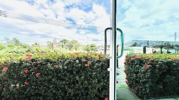 Vista a través de una puerta de cristal que muestra un seto cuidado con flores rojas, un cielo despejado y líneas eléctricas al fondo.
