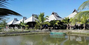 Front of property - The Forest Hill Cafe & Homestay (San Sai)
