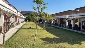 Un patio central con un árbol, rodeado de edificios con balcones y mobiliario exterior.