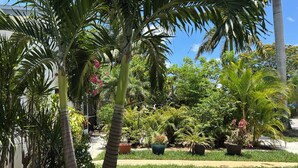 Un jardin agrémenté de palmiers, de différentes espèces de plantes et d’un sentier.