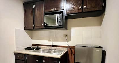 Centrally located apartment 1