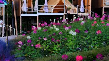 Tenda, pemandangan kebun | Pemandangan taman