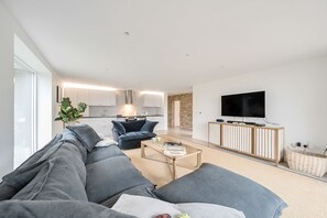 電視、電子遊戲、 辦公室、電腦螢幕