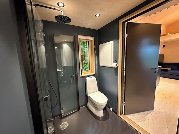 Shower, towels, soap, toilet paper