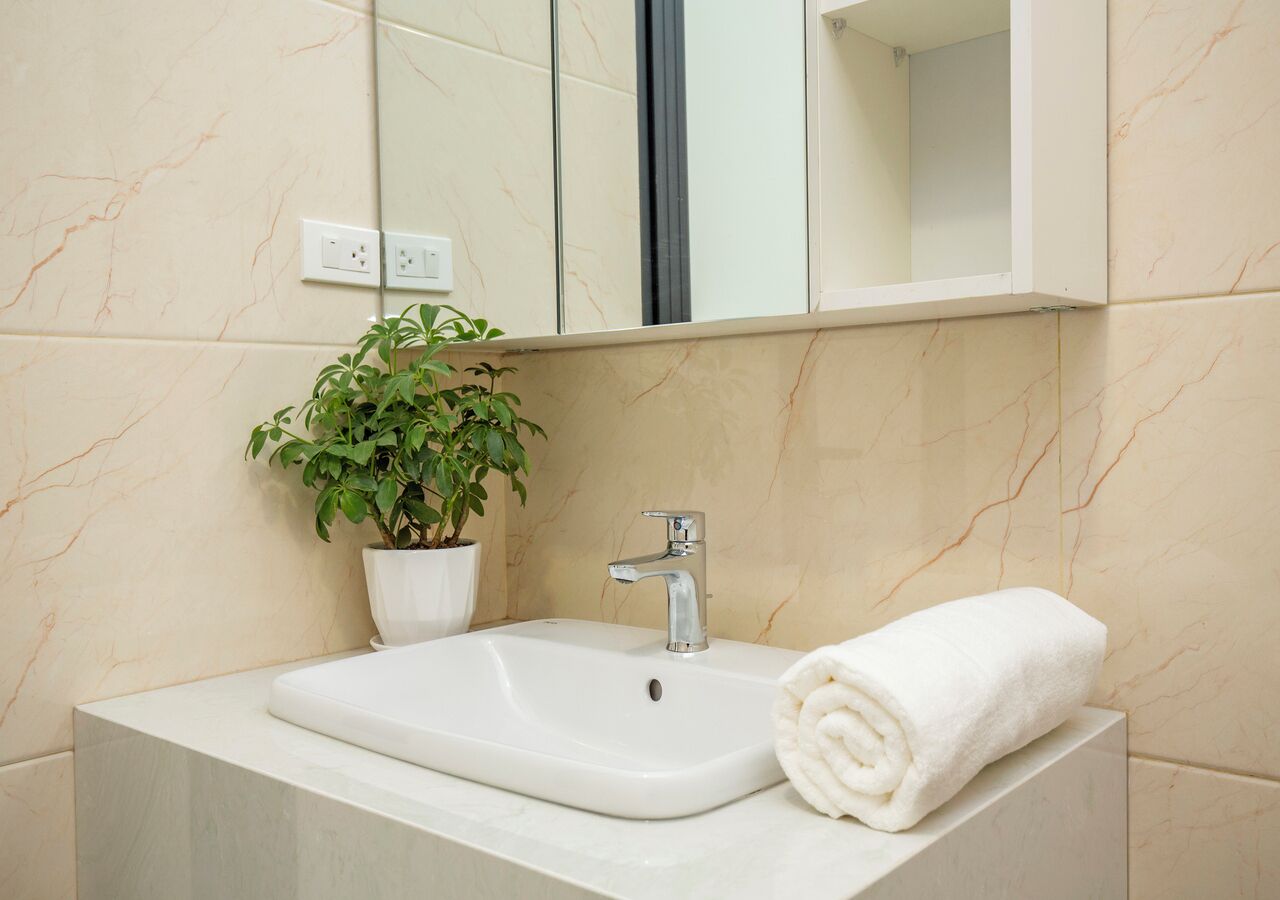 A bathroom with a white sink, a mirror, a potted plant, and a rolled towel on the counter.