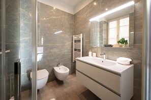 Shower, hair dryer, towels
