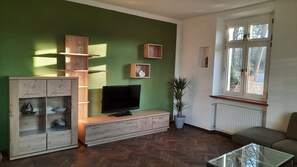 Smart TV, fireplace, books
