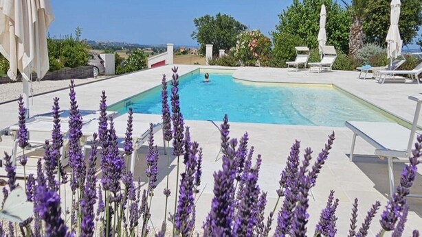 A pool area with white lounge chairs and umbrellas, surrounded by lavender plants. - Manor in Marche With Pool Near Adriatic (Monsano)
